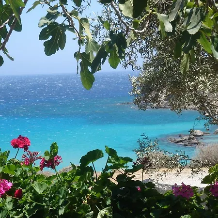 호텔 Poseidon Blue Gastronomy Afiartis