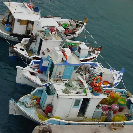 Poseidon Blue Gastronomy Afiartis